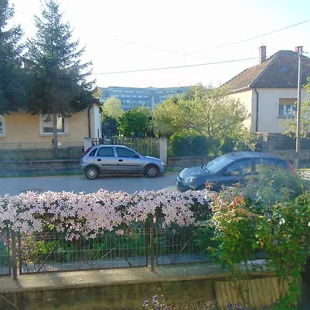 Leander * Sárvár